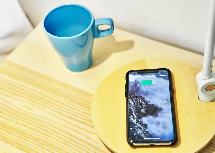 Centrico Acceso Independiente Laranitasalmantina